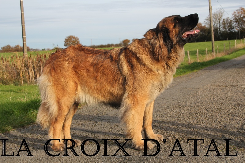 CH. File vite de la Petite Saunerie