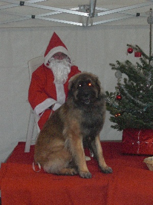 de la Petite Saunerie - EMILE 14 MOIS RENCONTRE AVEC LE PERE NOEL